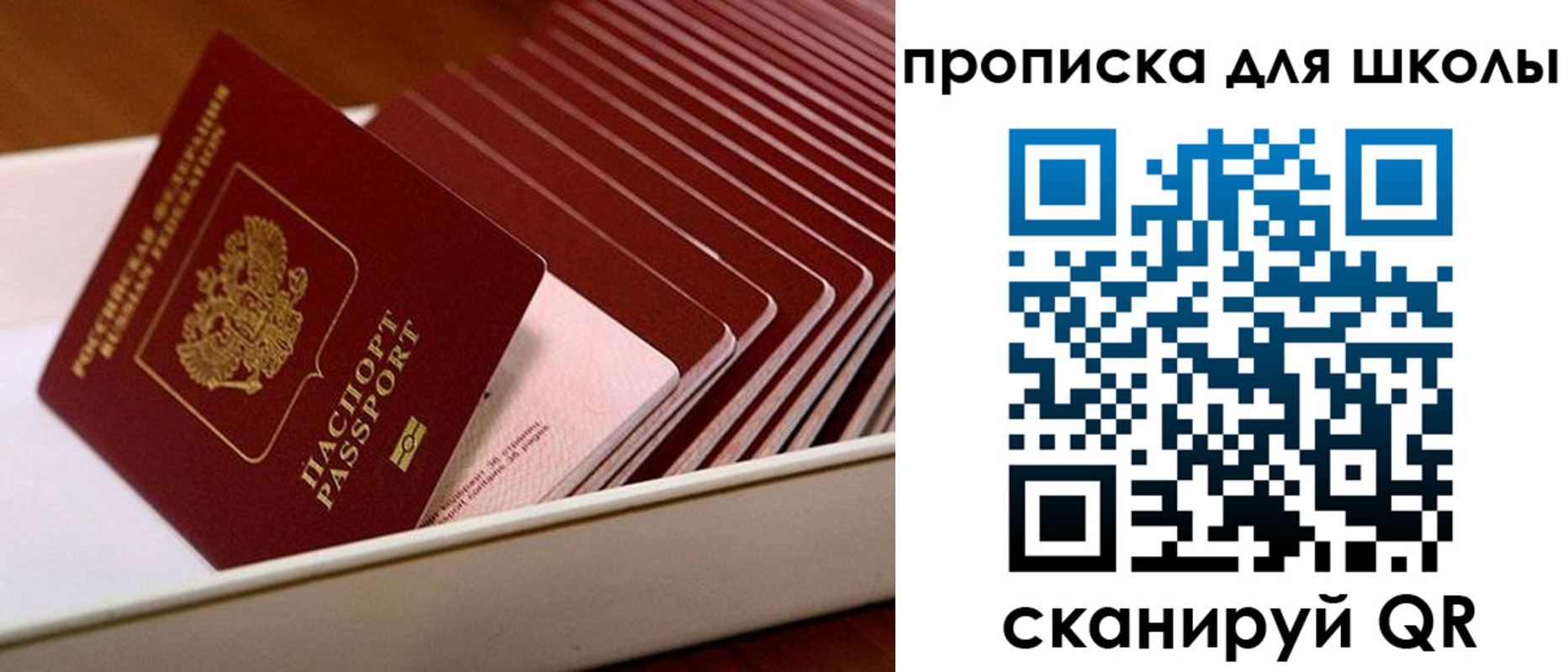 временная регистрация гарантия в Родниках